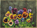 pansies